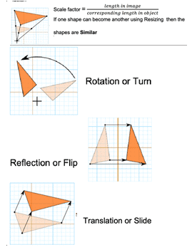 Case Study Based Question from Similar Triangles.